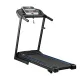 Беговая дорожка Xterra TR150