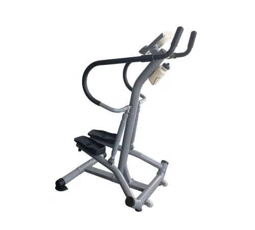 Степпер с поручнями DFC SC-S5901