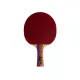 Ракетка DONIC Testra AR
